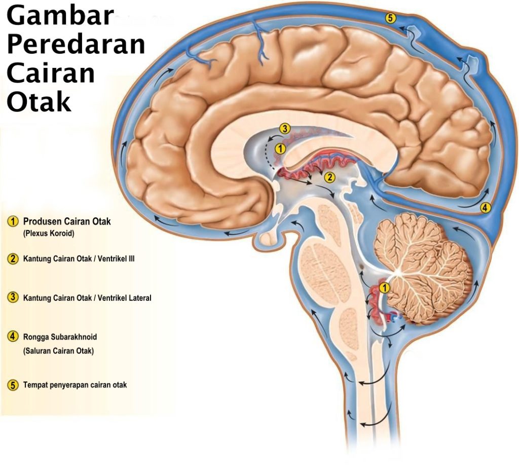 picture21354578718155