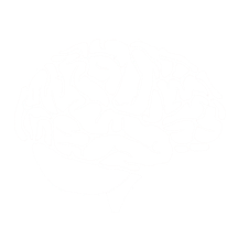 BRAIN