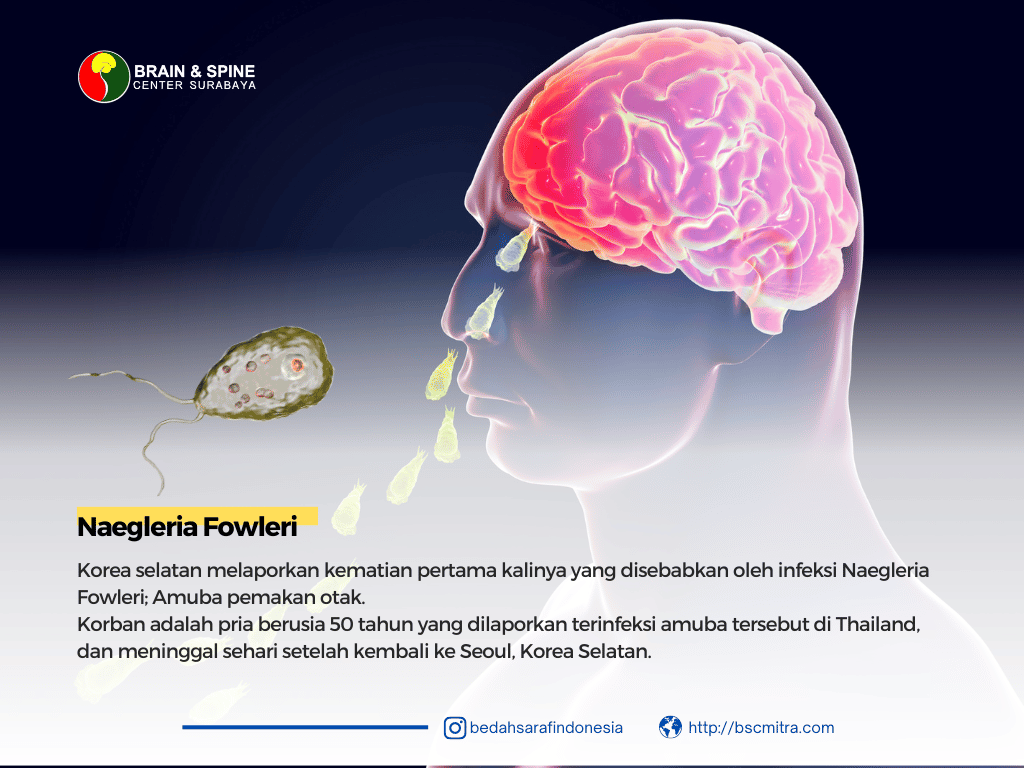 Naegleria Fowleri; Amuba pemakan otak yang menewaskan orang Korea
